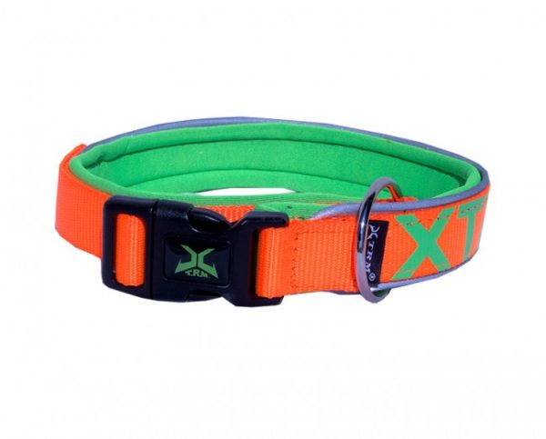 Hundhalsband XTRM Orange/Grön