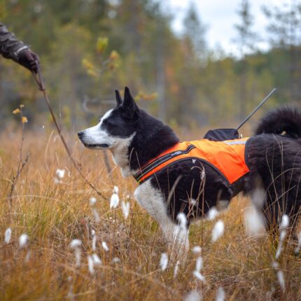 Tracker Hundväst - Kardog