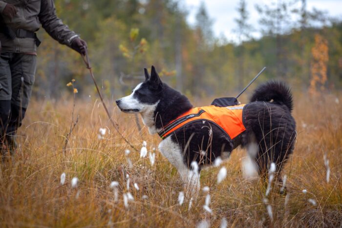 Tracker Hundväst - Kardog
